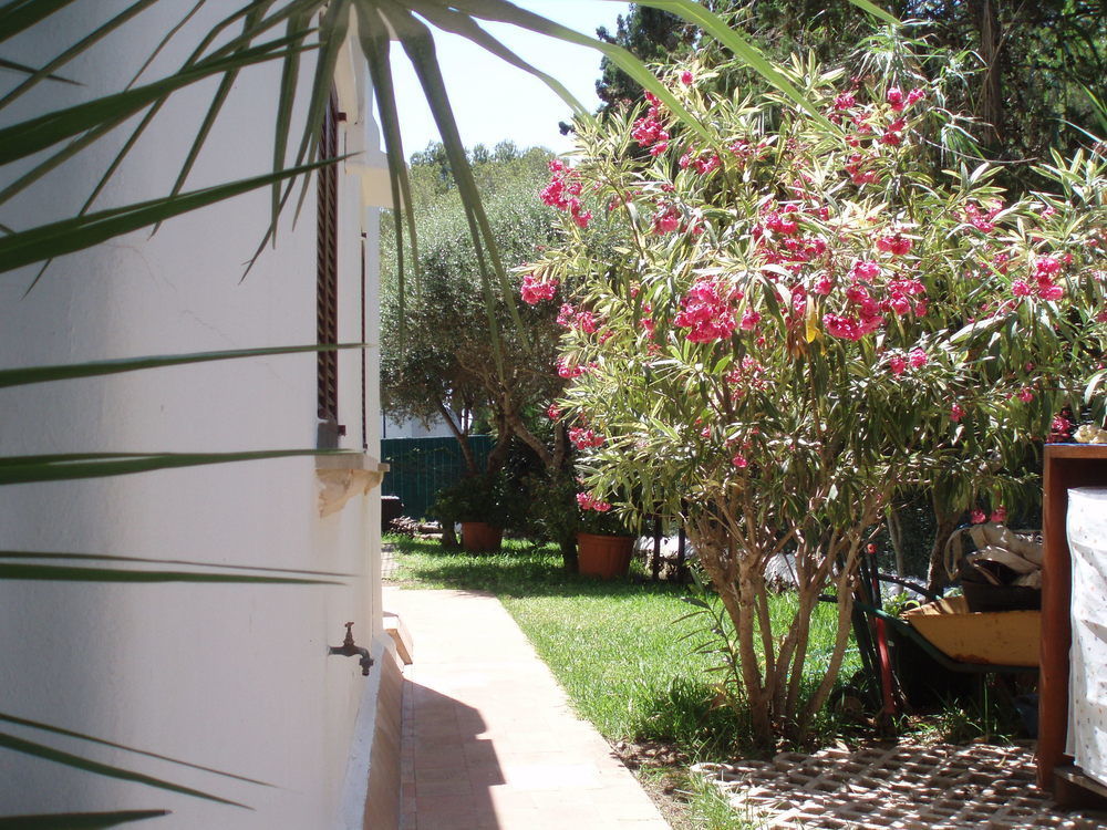 Apartamentos Osa Menor Cala d'Or  Ngoại thất bức ảnh