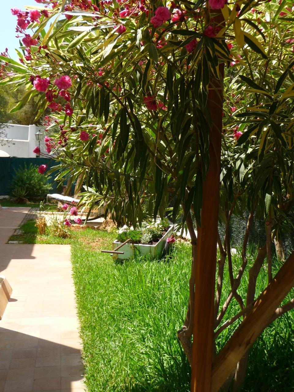 Apartamentos Osa Menor Cala d'Or  Ngoại thất bức ảnh